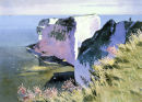 Handfast Point (Old Harry rock)